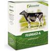 GREENVET FLUMAST-A DERM 12 SIRINGHE DA 10 ML