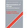 Klaus Lux Herbert Pahlings Representations of Groups (Copertina rigida)