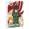 Carlsen Verlag GmbH Fairy Tail Massiv 14: 3-in-1-Edition voller rasanter Abenteuer der stärksten Magier der Welt