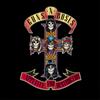 Guns N' Roses Appetite for Destruction (CD) Remastered Album