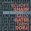 Elliott Sharp/Sally Gates/Tashi Dorji Ere Guitar Album