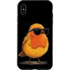 Robin Bird Outfit Custodia per iPhone XS Max Uccello colorato con una bella piuma per gli amanti di pettirossi e ali