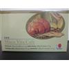 DXN Caffè Istantaneo Ginseng Maca Reishi/Ganoderma Lucidum Biologico N20 Bustine/Box