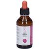 pdmtobemaintained Horti Celati Ribes Nigrum 4x100 ml Soluzione orale