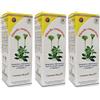 Pilosella Compositum Gocce 100 Ml 3x100 ml orali