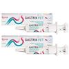 Candioli Gastrik Pet Pasta Appetibile 30 Ml Siringa Dosatrice 2x30 ml