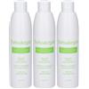 pdmtobemaintained Sebodergin Shampoo 250 Ml 3x250 g