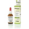 Anibio Pankrea Vital per Cani e Gatti 30 ml