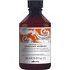 Davines Shampoo Natural Tech Energizzante