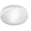 LEDS C4, plafoniera a LED - 24 W, luce calda, 2606 lumen, grado di protezione IP66, colore grigio