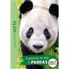 Hachette Jeunesse Expédition au pays des pandas: 8
