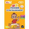HATIER Cap Maths CE1: Pack en 2 volumes : Fichier d'entrainement + cahier de géométrie