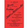 Editions Bibliomane Atlas de poche des plantes des champs, des prairies et des bois à l'usage des promeneurs et des excursionnistes: Volume 4