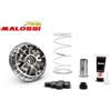 MALOSSI Variatore MULTIVAR 2000 MALOSSI SUZUKI BURGMAN 400 DAL 2010 AL 2026 5120134