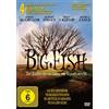 Sony Pictures Entertainment (PLAION PICT Big Fish - Der Zauber, der ein Leben zur Legende macht (DVD) Tim Burton