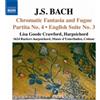 Johann Sebastian Bac Johann Sebastian Bach: Chromatic Fantasia and Fugue/.. (CD)
