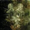 Arsis United in Regret (CD)