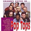 LOS GRANDES EXISTOS DE POP TOPS (CD)