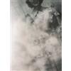 Angela Martyr The November Harvest (CD) Album Digipak