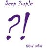 Deep Purple Now What?! (CD) Album