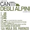 Various Artists Il Meglio Dei Canti Degli Alpini (CD)