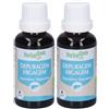 Herbalgem Depuragem Depurativo Concentrato di Gemme Fresche Gocce 2x30 ml Soluzione orale