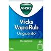 Vicks Vaporub Unguento uso inalatorio 100gr - VICKS - 048817011