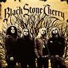 WARNER MUSIC Black Stone Cherry