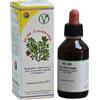 HERBOPLANET HS109 UVA URSINA COMP 100ML