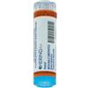 HERING Srl Arnica montana*5ch 80gr 4g