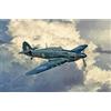 Italeri Hurricane Mk.IIC Aircraft Model Kit