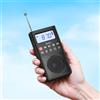 RADIO FM BLUETOOTH E MP3 CON MICROSD ALTOPARLANTE 3W, FUNZIONA A BATTERIA RICARICA TYPE-C | HOCO HI51 NERA