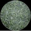 Senza marchio Tè verde giapponese Tokujou Gyokuro 100 g (3,5 once) x 15 sacchetti