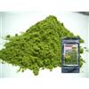 Integratore in polvere di tè verde Gyokuro 70 g (2,46 once) x 15 bustine