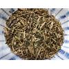 Tè verde giapponese Ise Tè verde giapponese mezzo arrosto Kuradashi Kukicha 500 g 蔵出し茎茶 (1,1 libbre) ...