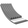 MEYLE Cinghia Poly-V 0500061623 Compatibile con: AUDI A3, A3 Sportback, A8 D3, Q7, TT, TT Roadster, CITROËN XANTIA, XANTIA Break, XM, XM Break, HONDA CIVIC VII Hatchback, OPEL ASTRA H, ASTRA H Caravan