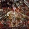 Drawn And Quartered Merciless Hammer of Lucifer (CD) Album