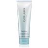 Estee lauder Daywear glow boost jelly cleanser