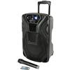 QTX Cassa Portatile QTX BUSKER-10 60W con Microfono Wireless, Bluetooth, Batteria Ricaricabile, Speaker 10" Karaoke DJ con Trolley