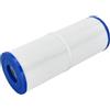 PUYEN Filtro spa da 50 piedi quadrati 817-5000 435-0037 R173434 Compatibile con U//n//i//c//e//l C-4950 C-4950RA P//l//e//a//t//c//o PRB50 PRB50-IN