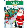 Jd Green Aria on the North Pole Express (Copertina rigida)