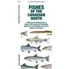 Matthew Morris Waterford Press Fishes of the Canadian North (opuscolo)