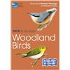 Marianne Taylor RSPB ID Spotlight - Woodland Birds (Mixed Media Product) RSPB