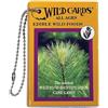 U S Games Systems Inc Edible Wild Foods Playing Card (Copertina rigida)