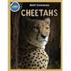 Beth Costanzo Cheetah Activity Workbook ages 4-8 (Tascabile)