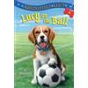 Ilene Cooper Absolutely Lucy #4: Lucy on the Ball (Tascabile) Lucy