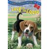 Ilene Cooper Absolutely Lucy #2: Lucy on the Loose (Tascabile) Lucy