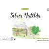 Louise Lightfoot Silver Matilda (Tascabile) Get To Know Me