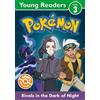 Pokémon Pokémon Young Readers Level 3: Rivals in the Dark of Night (Tascabile)
