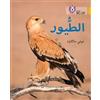 Jilly MacLeod Birds (Tascabile) Collins Big Cat Arabic Reading Programme